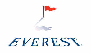 Everest, Logo