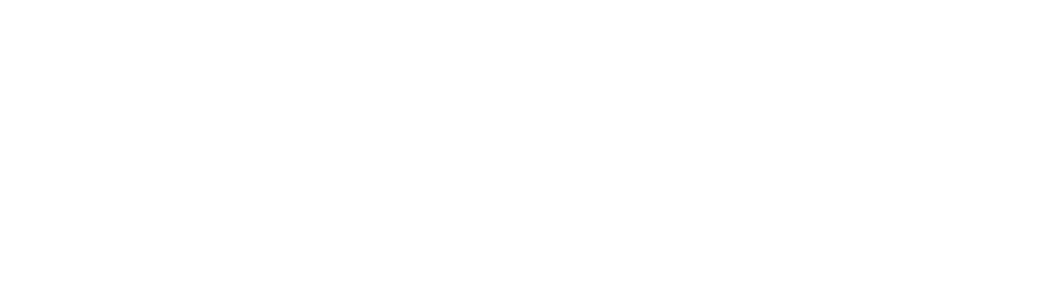 Denlsply Sirona 
